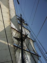 080508_Roald_Amundsen 296
